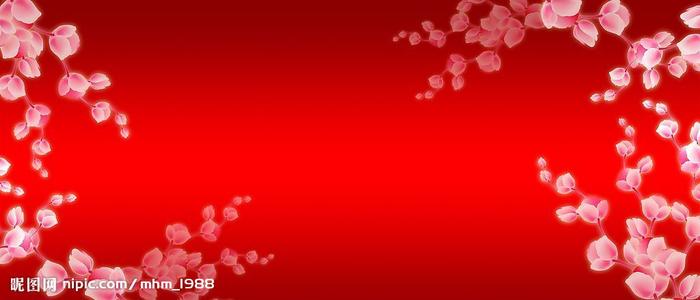 英国brp卡可以当护照吗